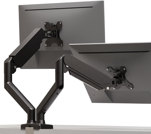 Double Support d’Écran Axis